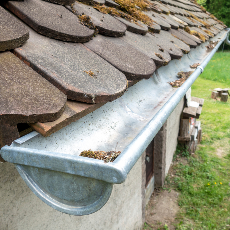 Gutters in Woodbine, GA
