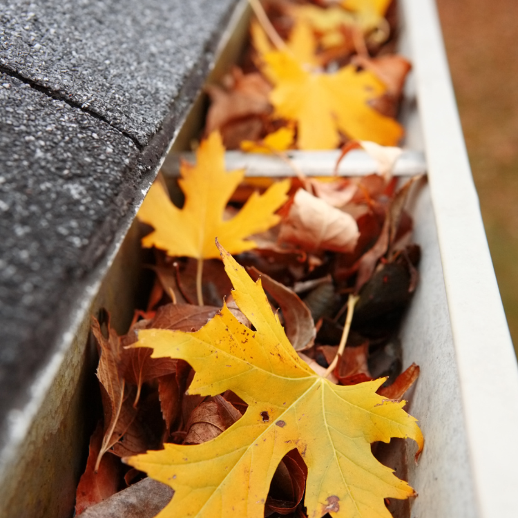Gutters in Woodbine, GA