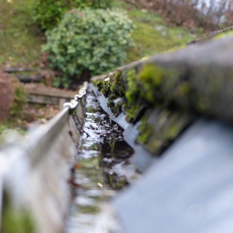 Gutters in Woodbine, GA