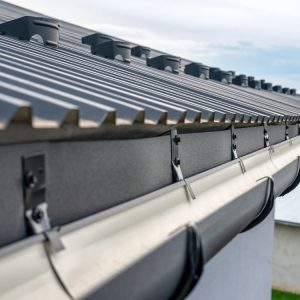 Gutters in Woodbine, GA