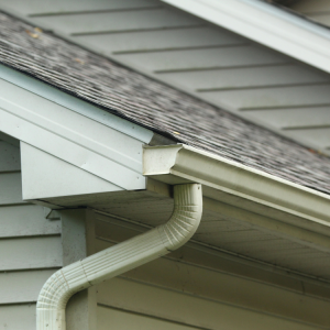 Gutters in Woodbine, GA